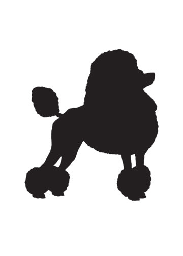Poodle