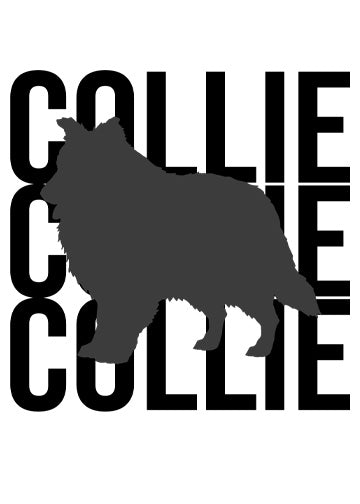 Rough Collie
