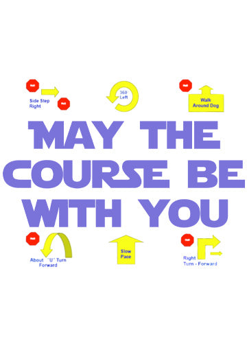 May the course be with you - Rally