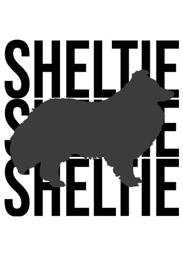 Shetland Sheepdog