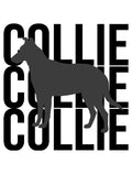 Smooth Collie