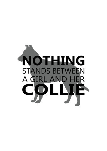 Smooth Collie