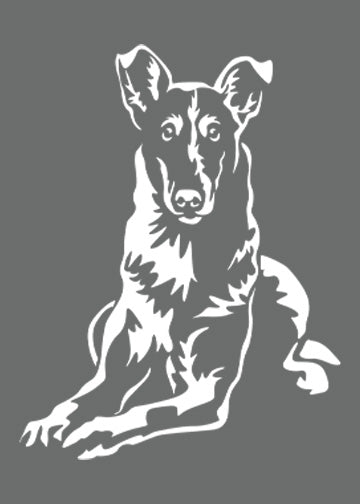 Smooth Collie