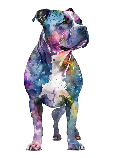 Staffordshire Bull Terrier