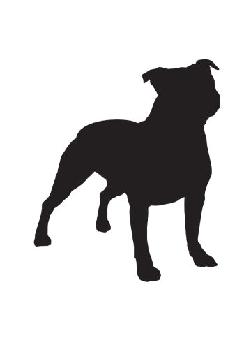 Staffordshire Bull Terrier