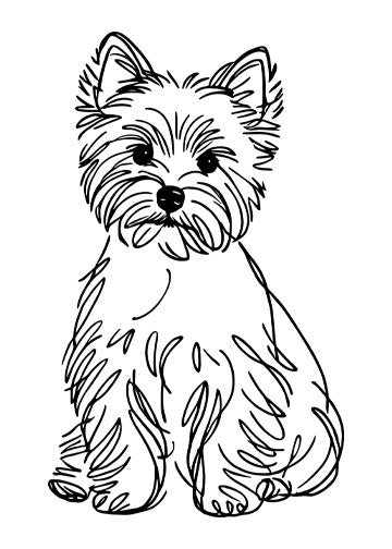 West Highland White Terrier
