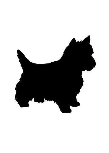 West Highland White Terrier