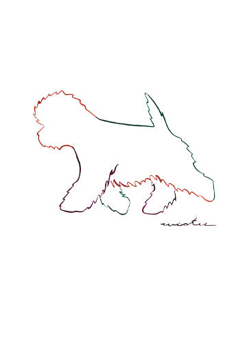West Highland White Terrier